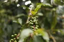 _H9A4706.webp