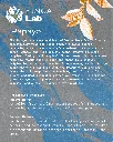 34.webp