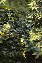 _H9A9117.webp