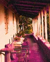 Post IG Finca.shop (24).webp