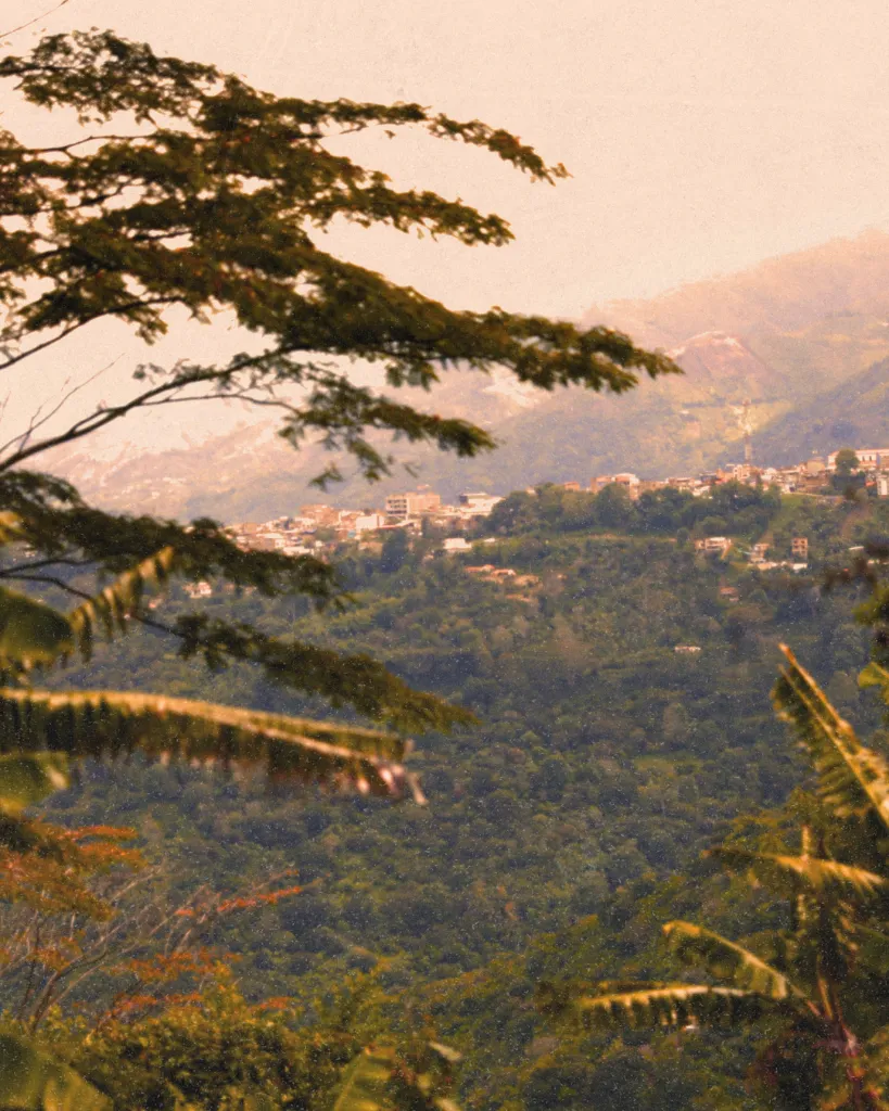 Post IG Finca.shop (23).webp
