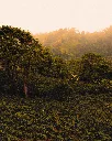 Post IG Finca.shop (22).webp