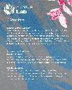 35.webp