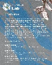 37.webp