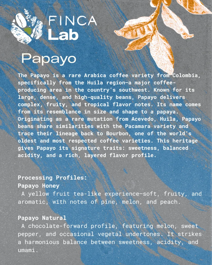 34.webp
