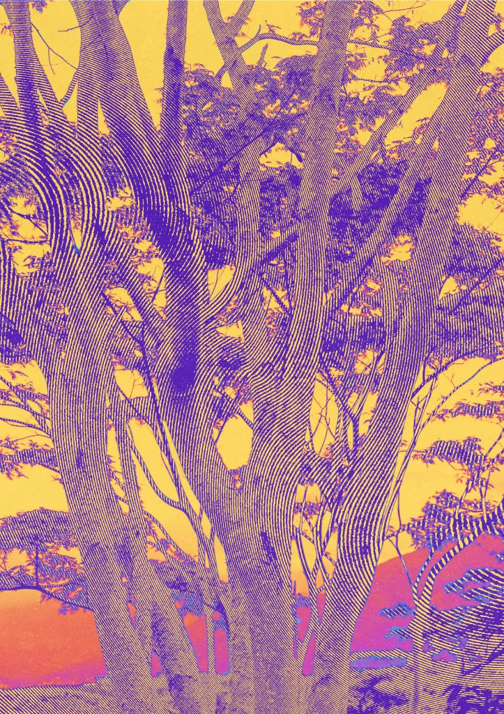 Paris Impression  (2).webp