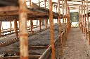 _H9A0370.webp