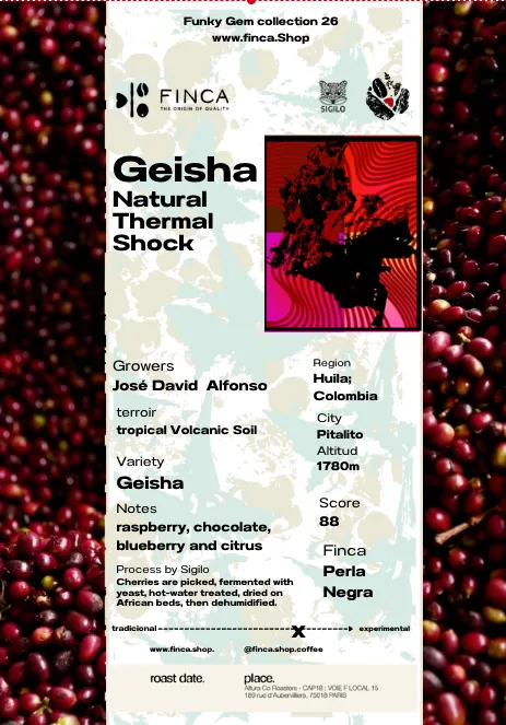 Geisha Natural ThermalShock [Colombia]
