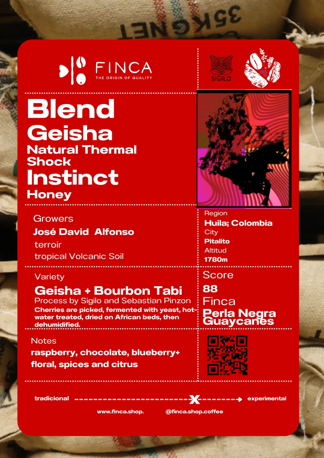 Blend Geisha Natural ThermalShock + Instinct Honey [Colombia]