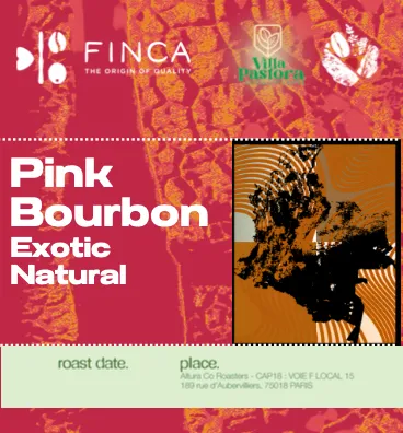 Pink Bourbon [Exotic Natural] [Pastora] [Colombia] (Green)