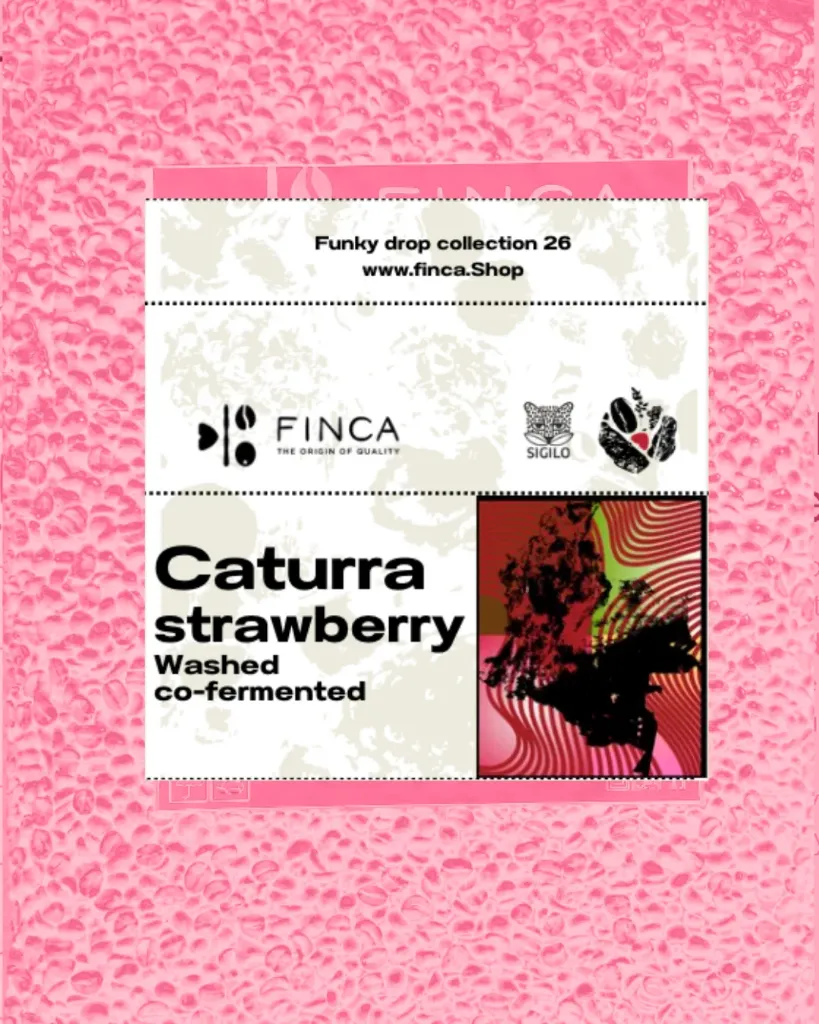 [C04-SI08] Castillo Strawberry [Co-fermented] [Huila,Colombia] (Green Coffee)