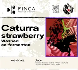 Castillo Strawberry [Co-fermented] [Huila,Colombia] (Green Coffee)