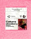 Castillo Strawberry [Co-fermented] [Huila,Colombia] (Green Coffee)
