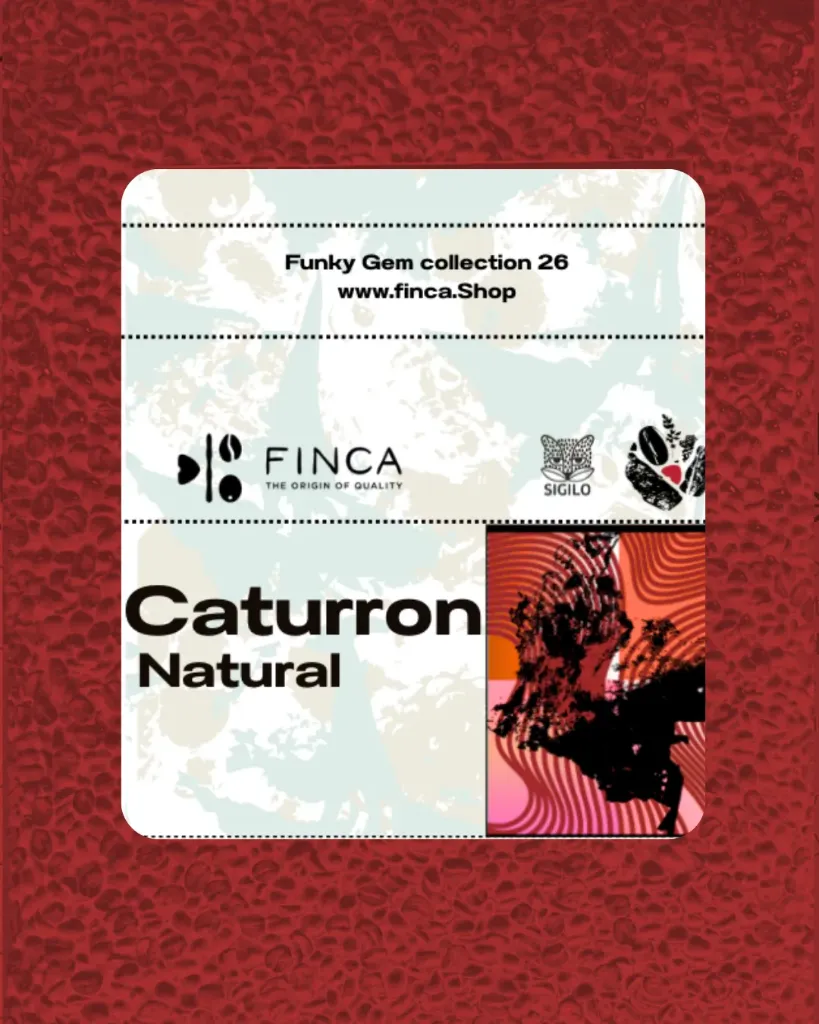 Caturron [Natural] [Huila,Colombia] (Green Coffee)