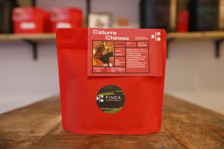 Caturro Chiroso - Sigilo