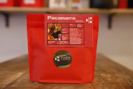 Pacamara - Sigilo
